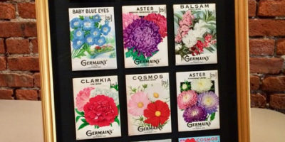 Flower seed packets, shadow box